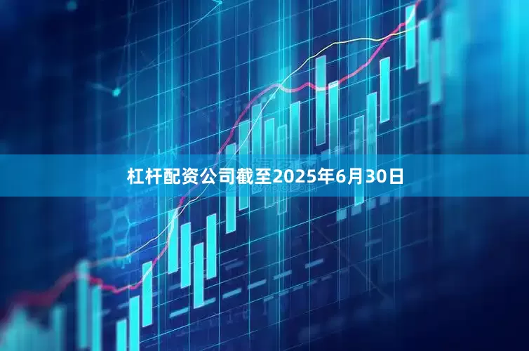 杠杆配资公司截至2025年6月30日