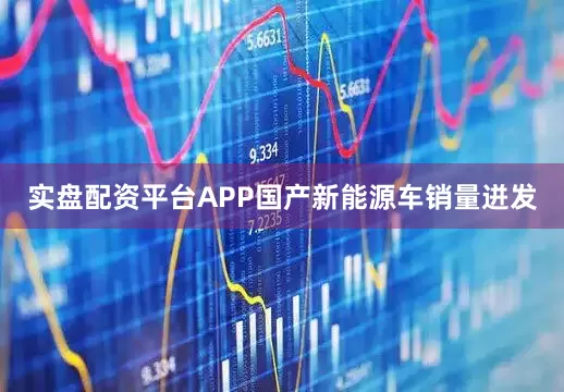 实盘配资平台APP国产新能源车销量迸发