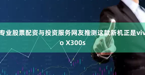 专业股票配资与投资服务网友推测这款新机正是vivo X300s