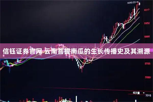 信钰证券官网 云南菩提南瓜的生长传播史及其溯源